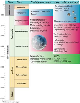 Ecology and Evolution of Marine Fungi With Their Adaptation to Climate Change